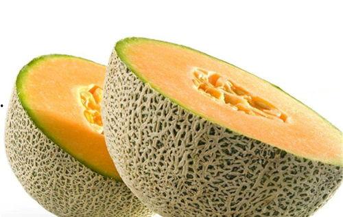 神乐吃哈密瓜视频,萌态百出引网友爆笑