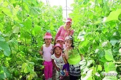 一些吃瓜视频去哪里找,带你领略网络舆论场