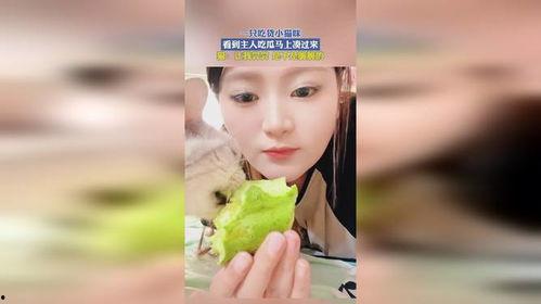 奶咪吃瓜视频在线观看,带你领略网络娱乐新风尚