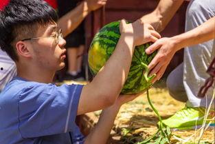 傈僳小伙吃瓜视频,展现民族风情与田园生活