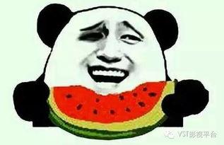 吃瓜群众戴墨镜视频播放,揭秘视频中的神秘人物