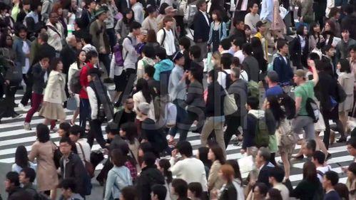 吃瓜群众曳步舞视频教学,跟随热门视频轻松入门