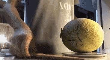 带你吃瓜搞笑奇葩视频,笑料百出！带你领略搞笑奇葩视频盛宴