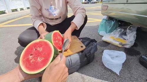 茶师吃瓜脱臼视频大全集,趣味视频大盘点