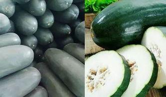 吃无骨瓜的视频大全图片,视频大全图片带你领略美味瞬间