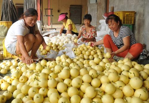 泊头吃瓜爆料视频,一场引人入胜的民间风云录