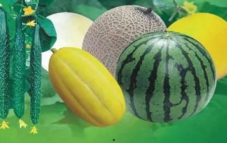 叠北吃瓜视频,揭秘娱乐圈幕后故事