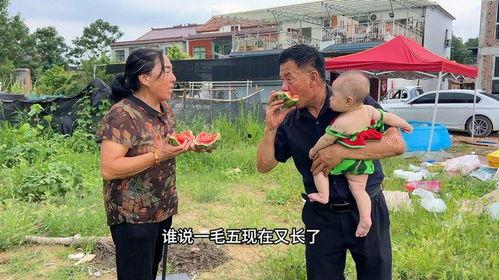 钢镚吃瓜视频,揭秘网络短视频背后的娱乐现象