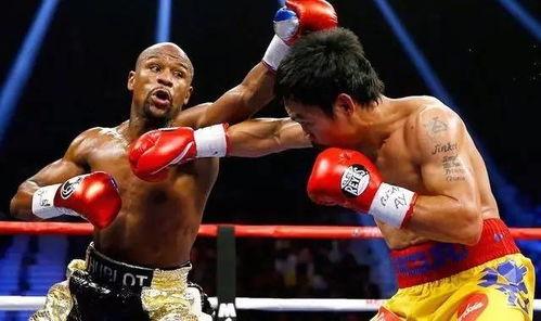 吃瓜娱乐拳击比赛视频在线观看