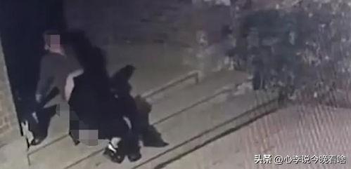 到处吃瓜视频完整版,一场全民参与的娱乐盛宴